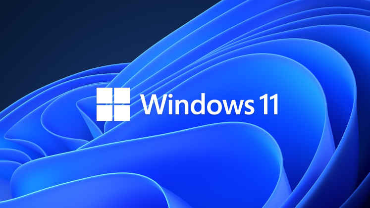 Download Windows 11 Business Edition – Full Turkish x64 Bit