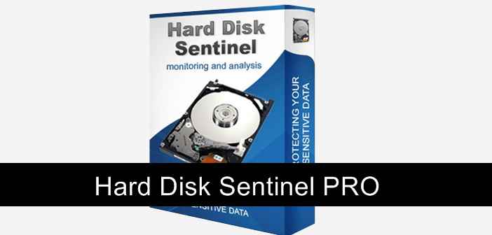 Hard Disk Sentinel Pro Download Full v6.01