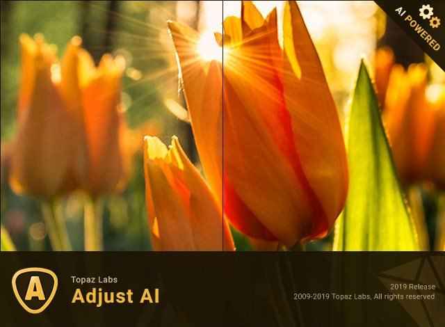 Topaz Adjust AI Full Download – v1.0.5 Sharpen Images